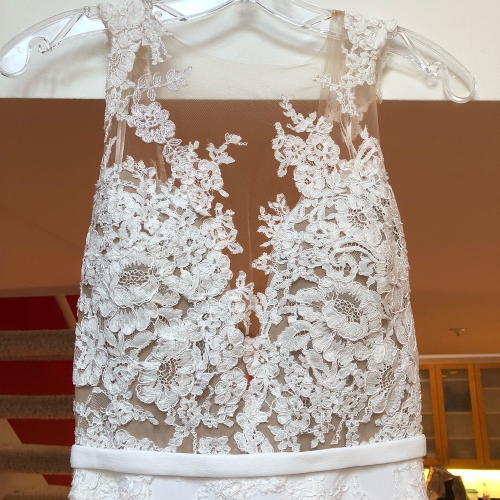 Pronovias Vicenta Wedding Gown - Picture 6 of 8